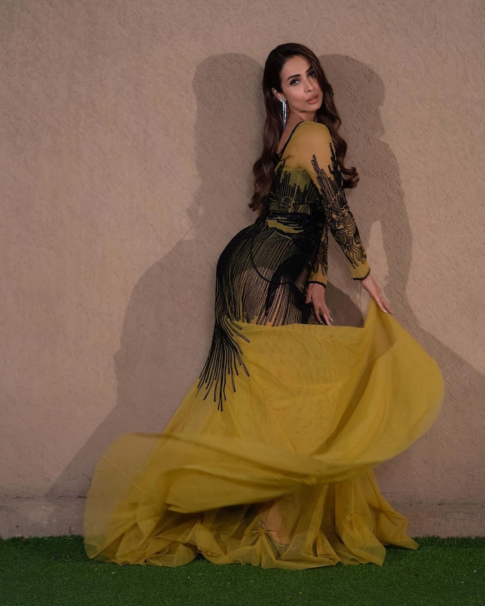 malaika arora sheer dress Malaika Arora in bold sheer golden gown exudes high-octane glamour in new pics
