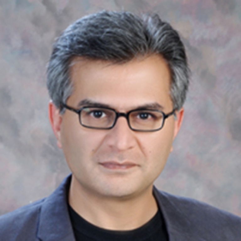 Hasan Zaidi