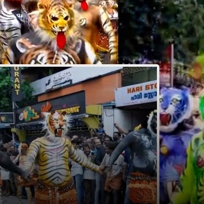kerala tigers