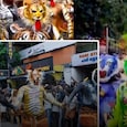 kerala tigers kerala tigers