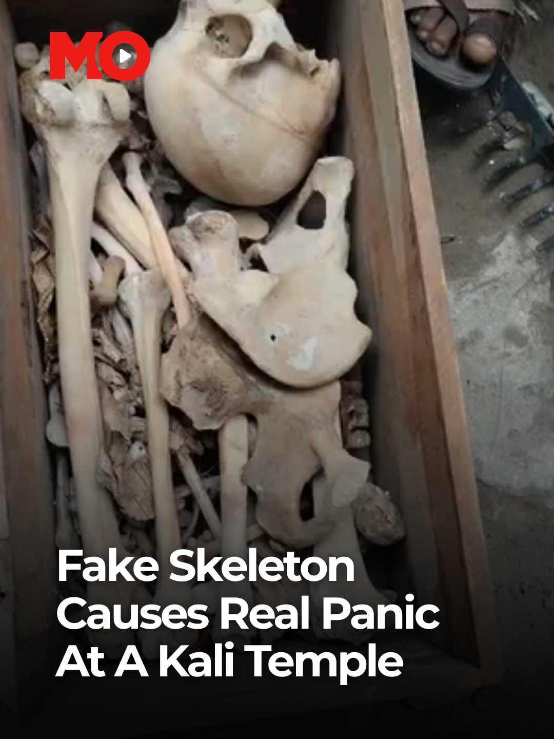 fake skeletons 