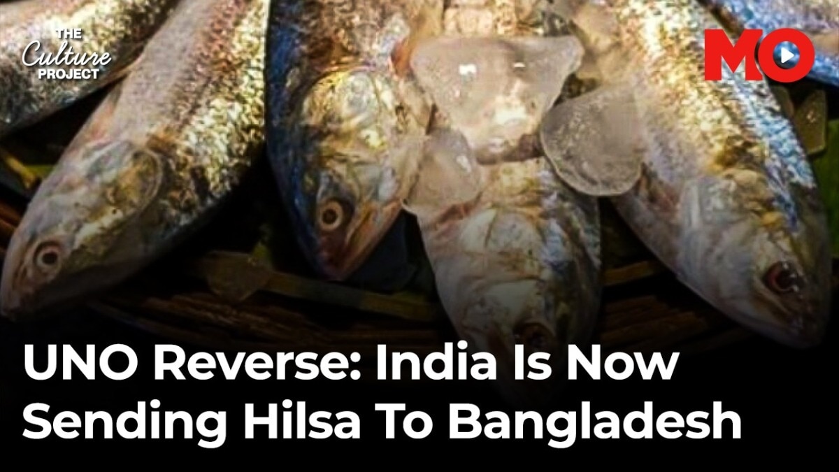 UNO reverse: India is now sending hilsa to Bangladesh