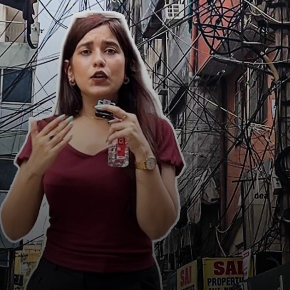 satya niketan wires