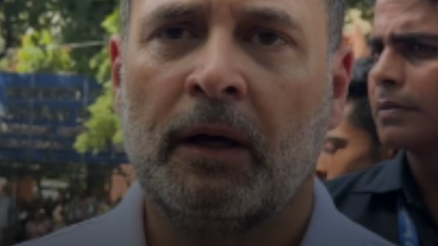 'Do I look like a BJP worker?' Rahul Gandhi confronts journalist during protest