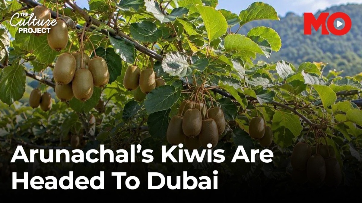 Arunachal's kiwis are headed to Dubai