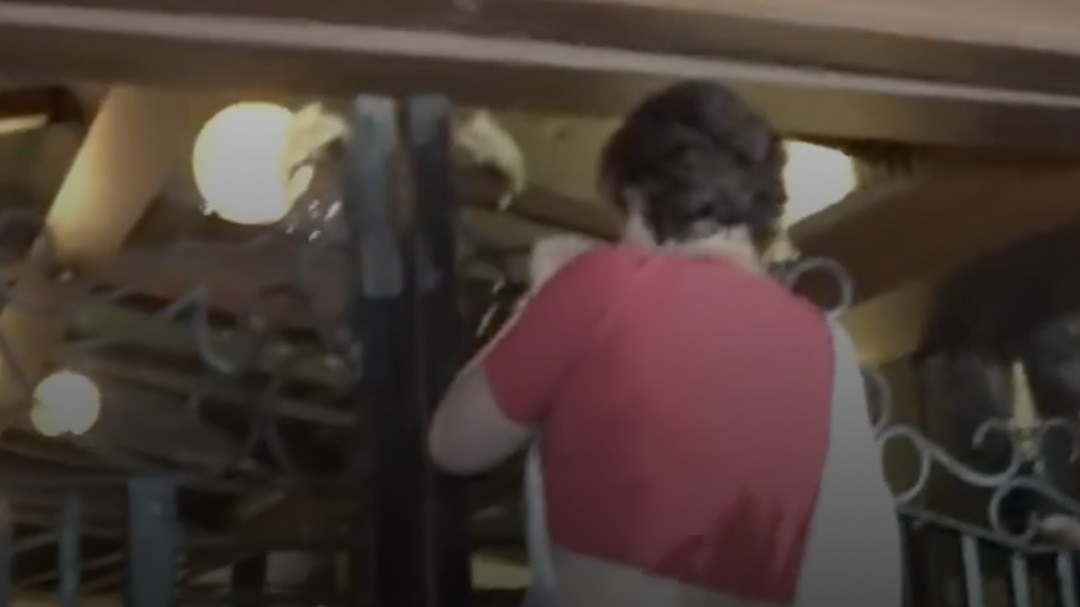 Priyanka Gandhi climbs gate to reach detained Rahul Gandhi at Kingsway Camp