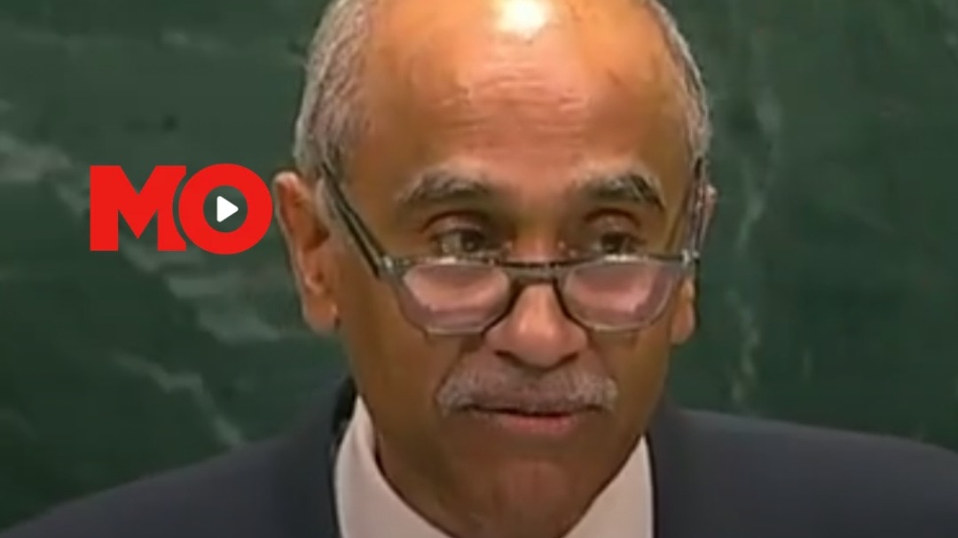 India demands veto power for all permanent members of the UN Security Council