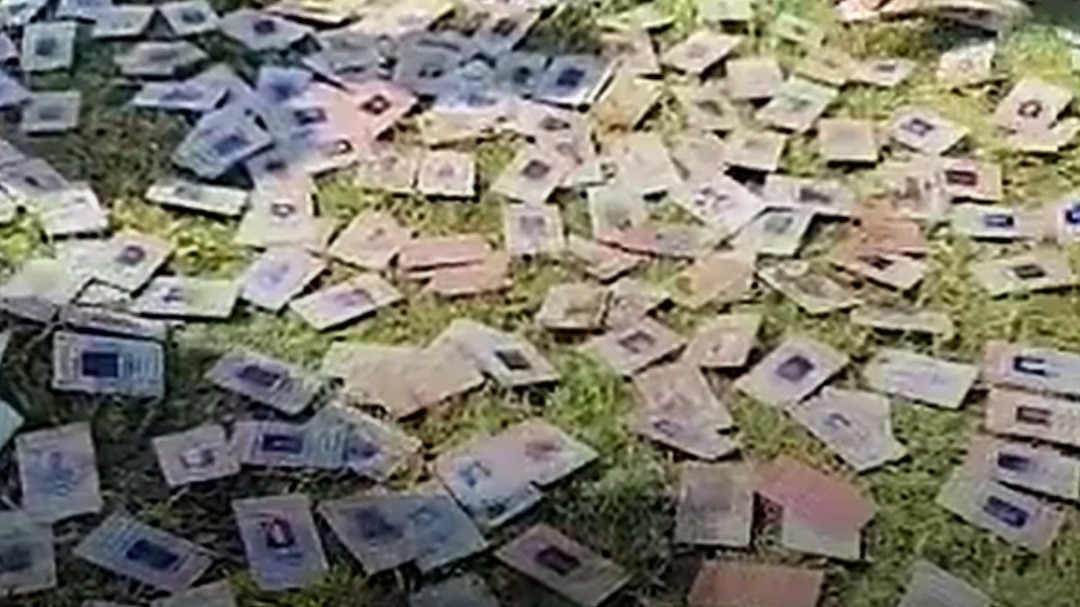 Hundreds of voter ID cards wash up on Narmada riverbank