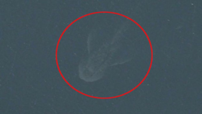Loch Ness monster: OMG, have we caught it on camera? - India Today