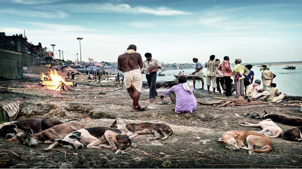 The lost river - Special Report News - Issue Date: Jul 14, 2014