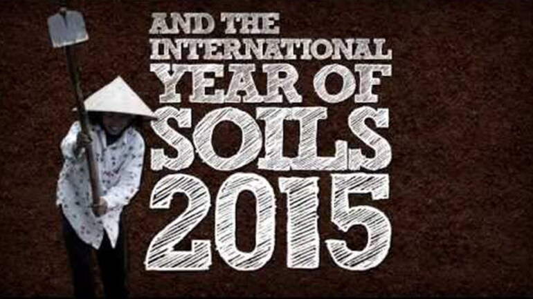 FAO declared 2015 as the International Year of Soils