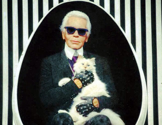 Fashion queen Karl Lagerfeld Dies at 85, cat to inherit 75 million ...