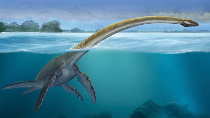 Prehistoric Animals Found Alive Today