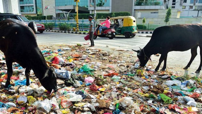 pollution due to waste accumulation