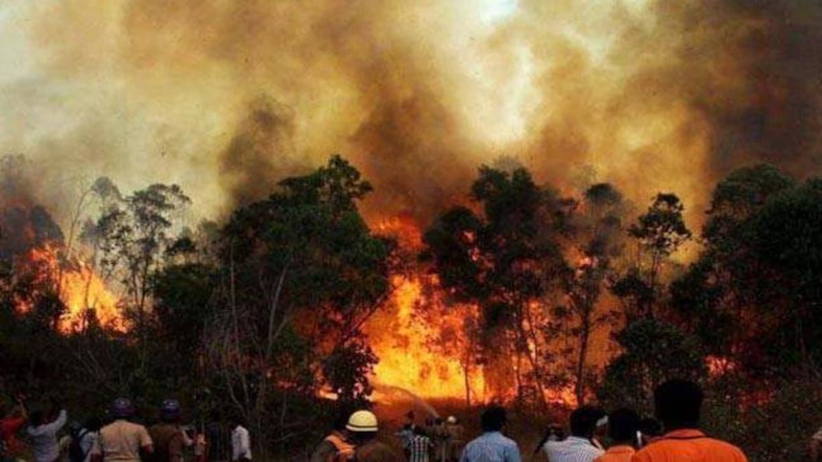 Uttarakhand forest fire: Worst fires that wiped out almost entire cities - Education Today News