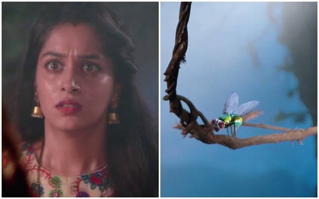 Sasural Simar Ka's lead protagonist is now a fly.