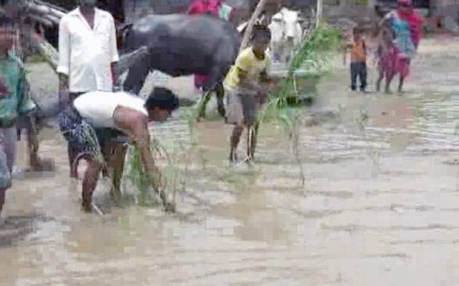 Locals farming on Highway