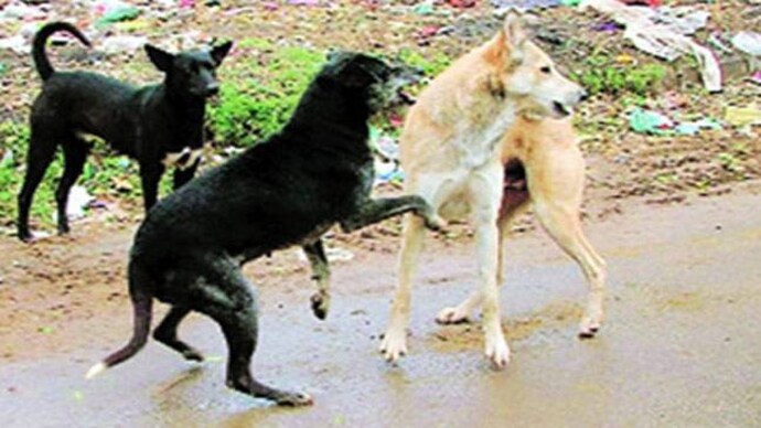 Image for representation Image for representation