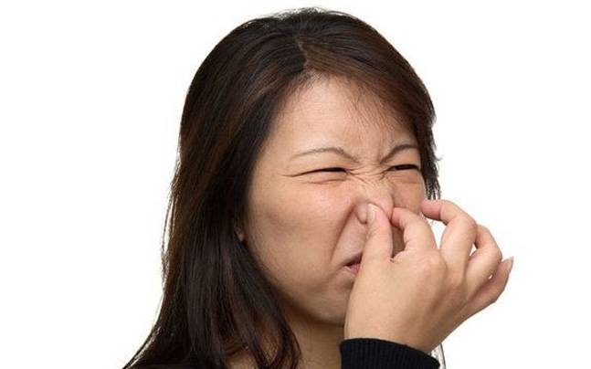 These 5 foods will make your farts smell bad. Really bad. - Lifestyle News These 5 foods will make your farts smell bad. Really bad. - Lifestyle News