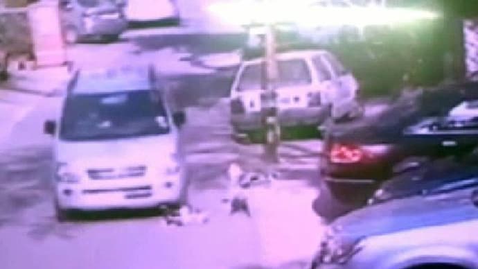 Delhi: CCTV footage emerges of driver crushing puppies under the car wheels in Vasant Kunj