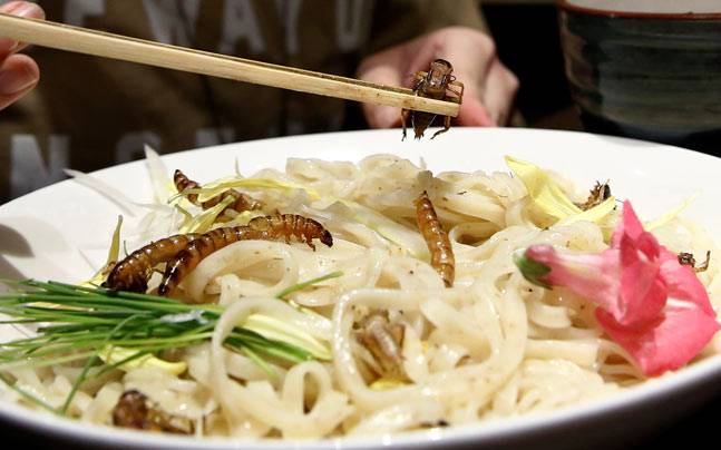 We dare you to eat these noodles with fried worms and crickets - India Today