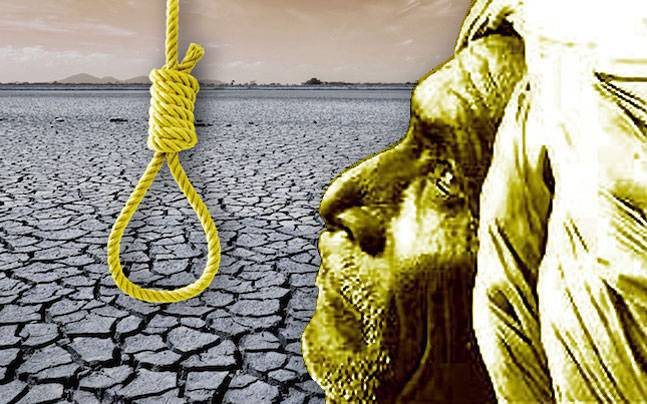 Telangana: Over 3000 farmers committed suicide in state since its inception, report says - India News