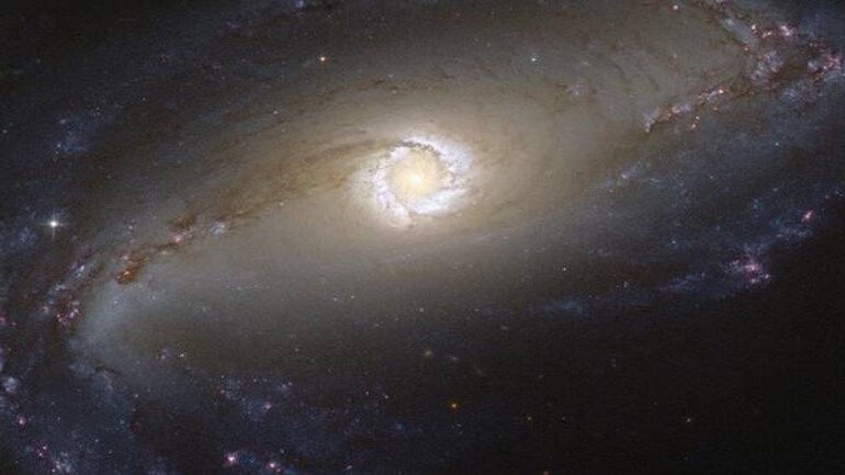 Intergalactic Transfer Humans Made Of Matter From Distant Galaxies Study Suggests Fyi News