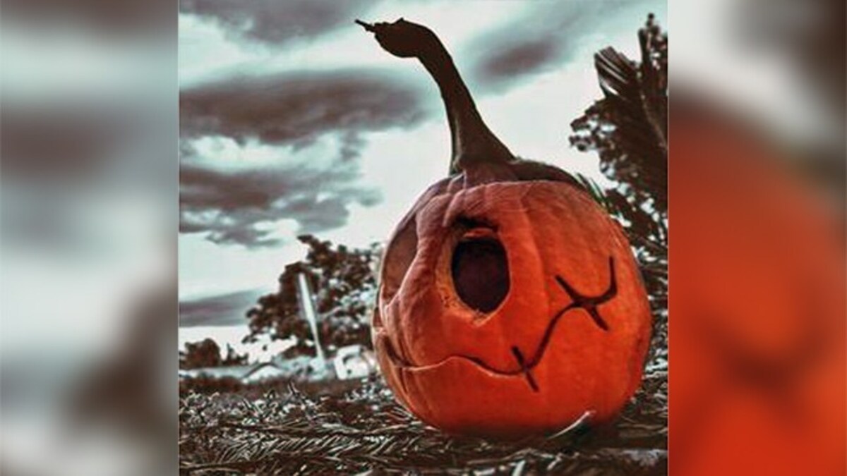 Halloween Meaning In Hindi Best Decorations halloween-meaning-in-hindi-best-decorations