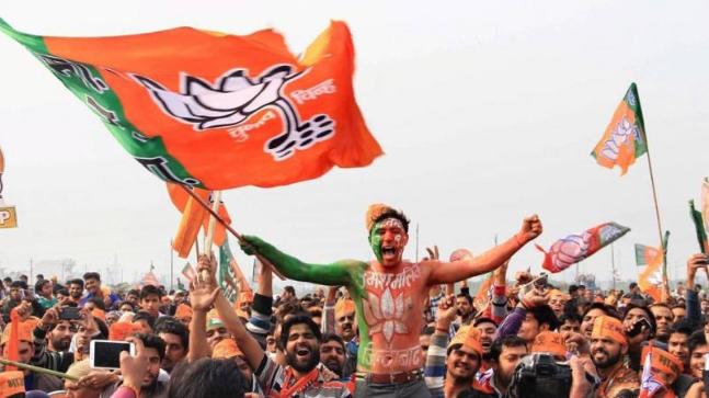 Image result for bjp supporters