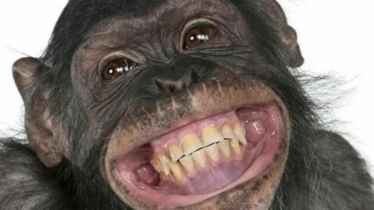 7 interesting facts you should know about April Fools' Day - Lifestyle News