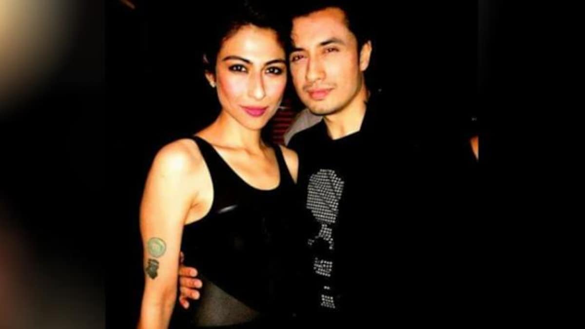 Meesha Shafi was hired independently, she performed with Ali Zafar of her own free will'