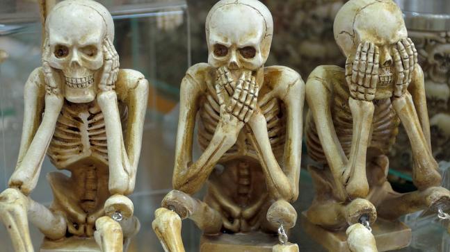 These are the longest and shortest bones in the human body - India Today