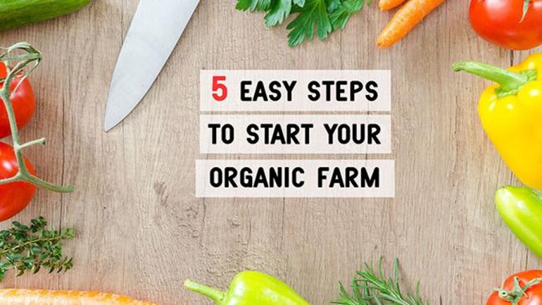 Iit Madras Prof Shares His Idea Of Zero Investment Organic Farming In India Education Today News Iit Madras Prof Shares His Idea Of Zero Investment Organic Farming In India Education Today News