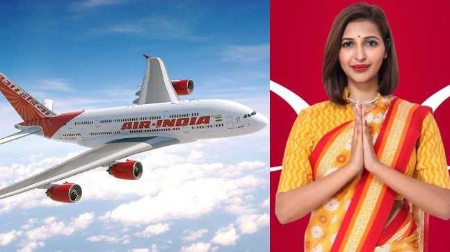 Government receives no bids for Air India stake sale