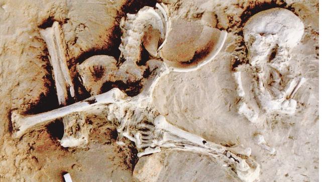 ASI studies 'Mahabharata-era' Sanauli relics at Red Fort, tests to