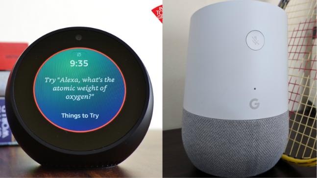 Google home hub or best sale echo spot