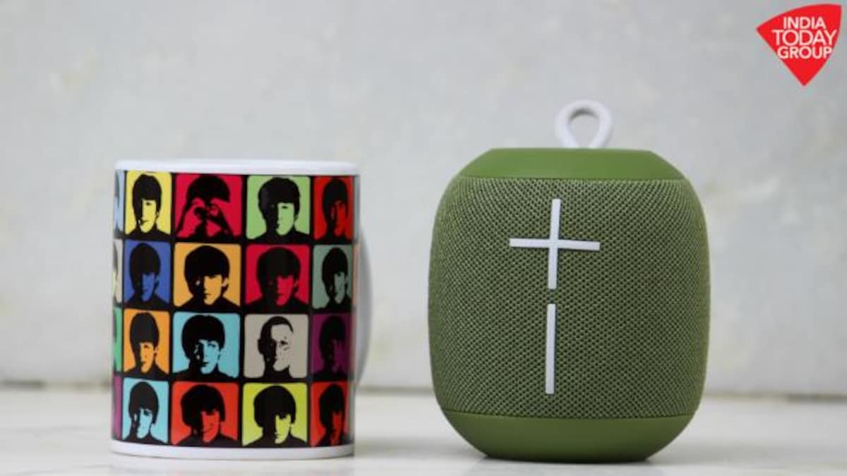 Wonderboom avocado online