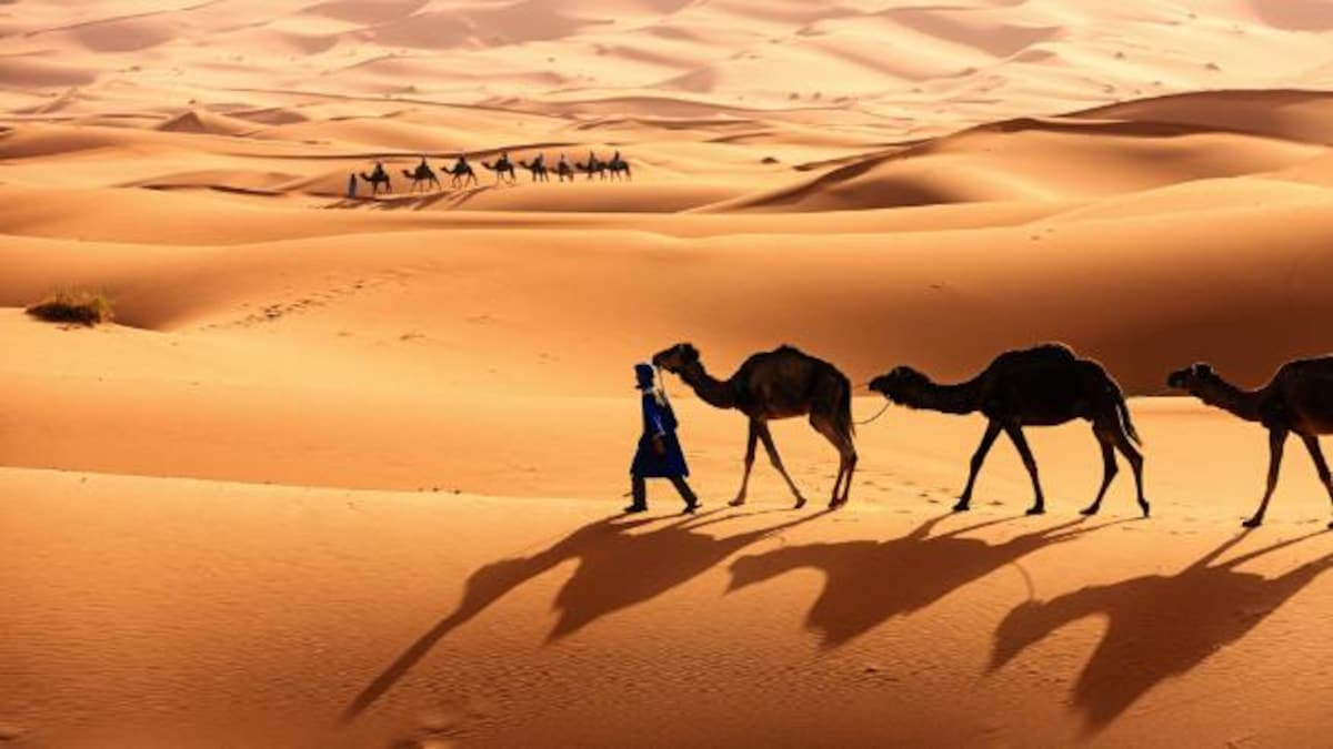 Is World S Largest Desert Sahara Turning Green Education Today News
