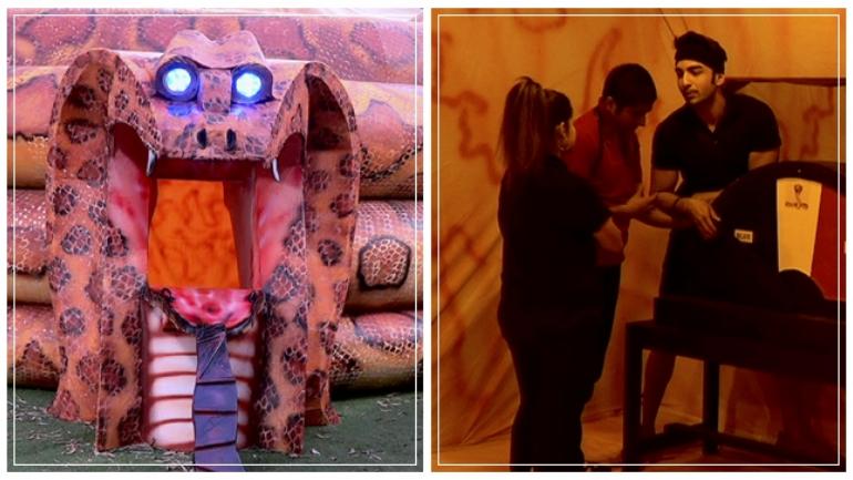 Bigg Boss 12 Day 65 preview: Rohit betrays his team in snake task, throws shoe at Megha