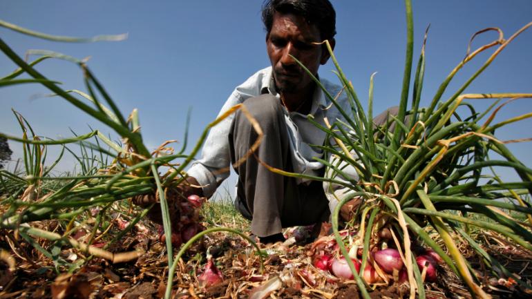 Maharashtra onion farmers crisis 