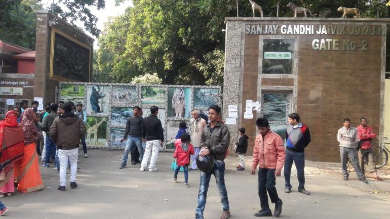 Patna Zoo shuts down after bird flu scare, Christmas revellers greeted with closed gates