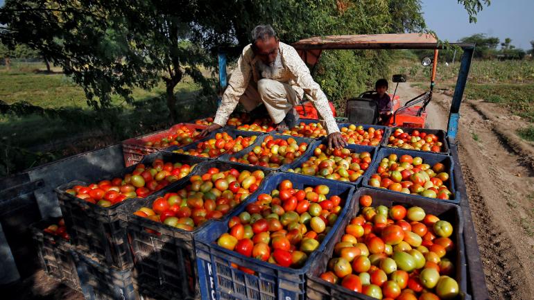 Pulwama: MP tomato farmers won't export produce to Pakistan, say soldiers more important than profit