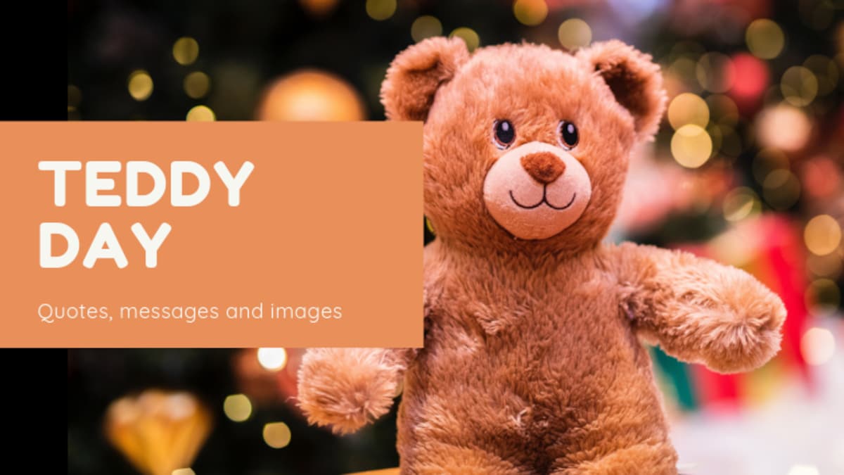 Teddy Day 2019 Messages quotes and images India Today