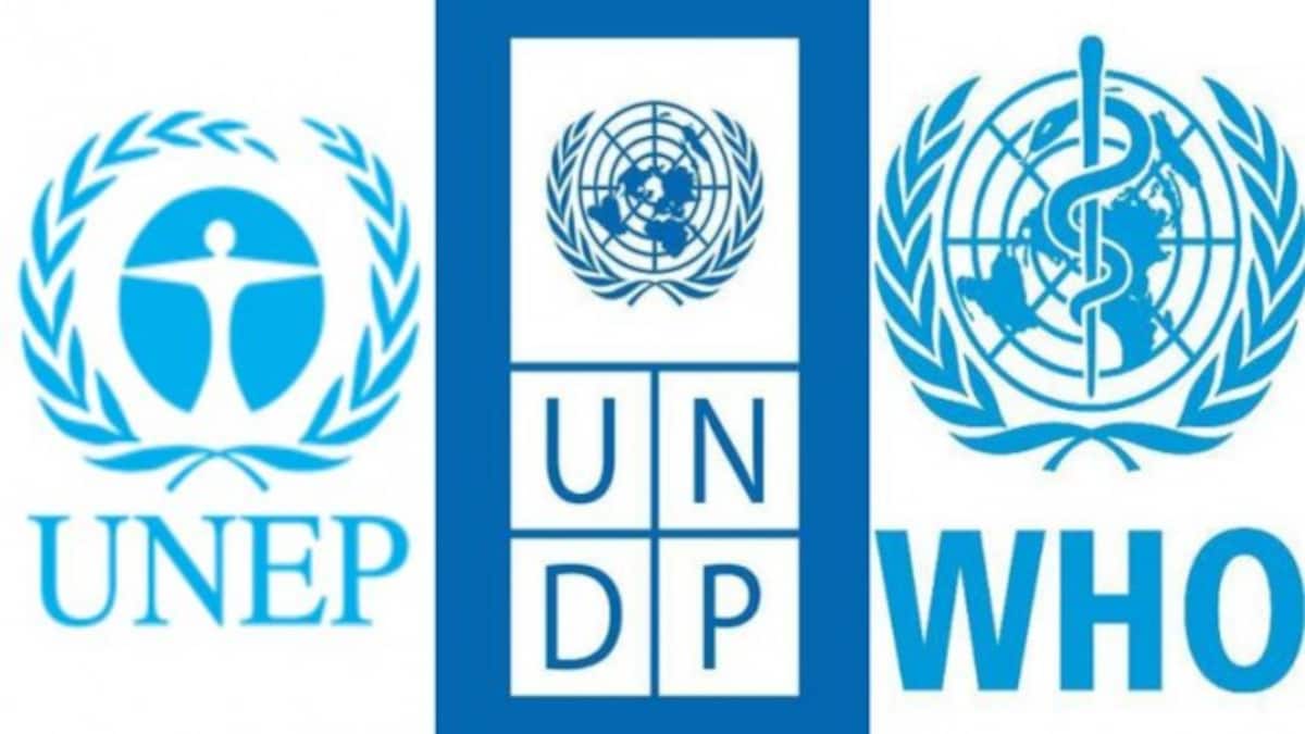 14 important United Nations agencies and their roles - Education Today News
