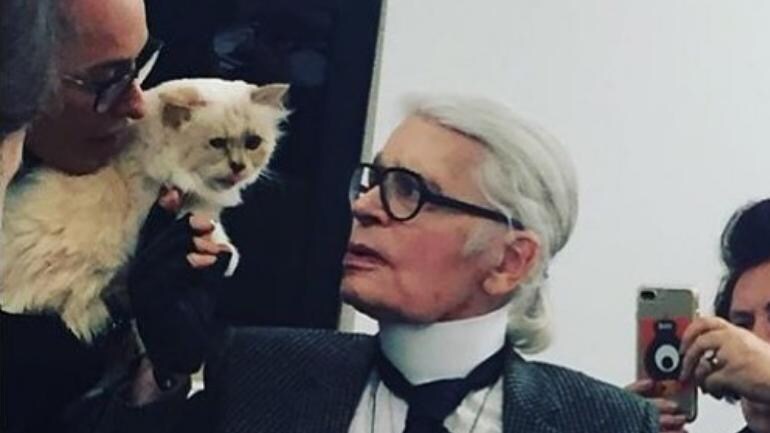 Karl Lagerfeld S Pet Cat To Be Richest In The World With Rs 1 400 Crore Wealth Trending News News