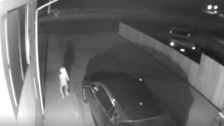 Dobby Is That You Creature Similar To Harry Potter Character Spotted On Security Footage Trending News News Dobby Is That You Creature Similar To Harry Potter Character Spotted On Security Footage Trending News News