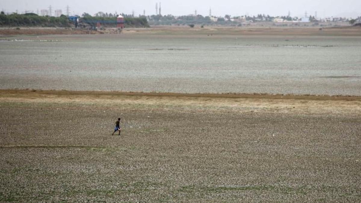 India's water crisis: Water bodies need urgent attention