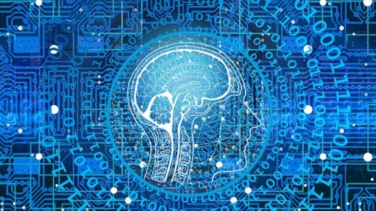 A recent study has shown that there are neurons that respond selectively to particular combinations of colour and shape.