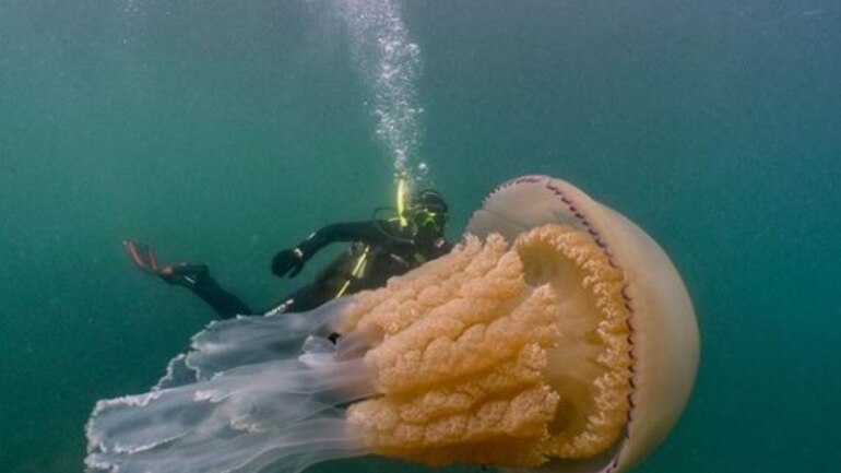 Image posted on Instagram by Dan Abbott. Image posted on Instagram by Dan Abbott.