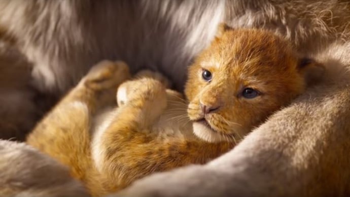 The lion king 2019 full movie in hindi dubbed watch online hotsell